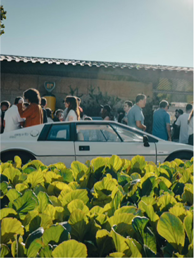 Screenshot 2025-04-23 at 11.55.43